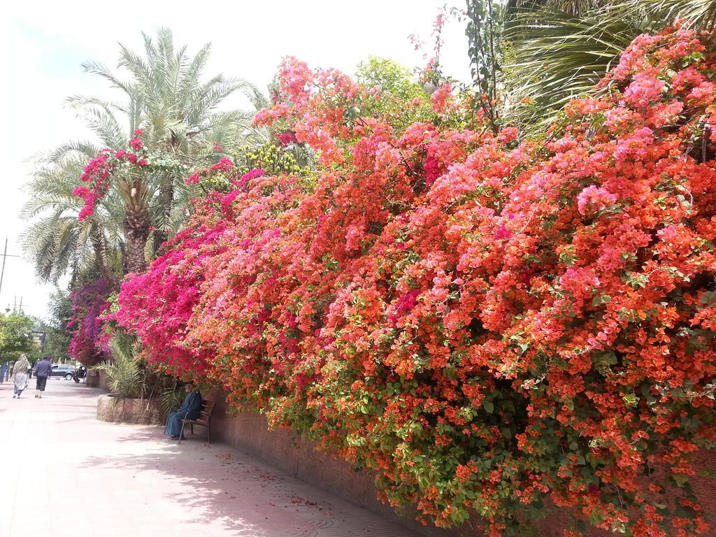 Riad Des Etoiles Marraquexe Exterior foto